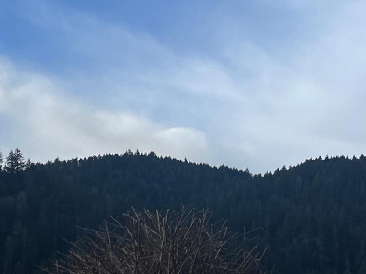 Apartament Mira Gernsbach